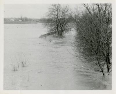 Route 53 in flood, north of Park Blvd
