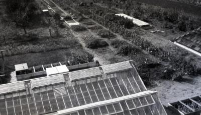The Morton Arboretum's first greenhouse at South Farm (built Spring 1922), aerial view over greenhouse and nursery rows