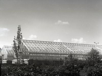Greenhouses (pre 1980), side view