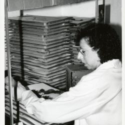 Kim Allen drying a plant specimen in the Herbarium