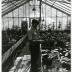 Kris Bachtell working in greenhouse