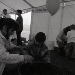 Arbor Day activities at The Morton Arboretum, boy working with woman in barrel of dirt next to Seedling Planting station
