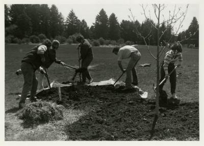 Arbor Day, group planting tree in the Northern Illinois Collection