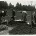 Arbor Day, group planting tree in the Northern Illinois Collection