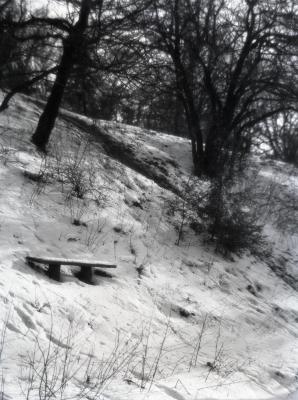 Bench on north slope of Hemlock Hill in winter above Lake Marmo inlet