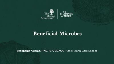 Beneficial Microbes by Stephanie Adams