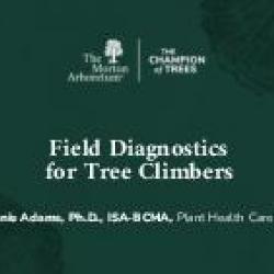 Field Diagnostics for Tree Climbers by Stephanie Adams