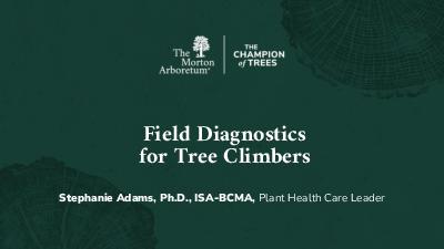 Field Diagnostics for Tree Climbers by Stephanie Adams