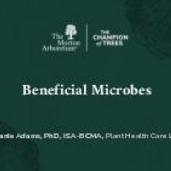 Beneficial Microbes by Stephanie Adams