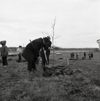 Arbor Day Centennial, Centennial Grove tree planting, man holds tree steady while dirt gets shoveled around base