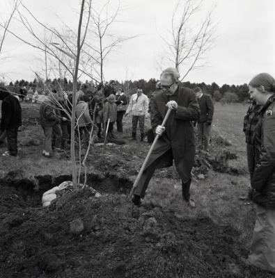 Arbor Day Centennial, Centennial Grove tree planting, man shoveling dirt to cover newly planted tree while others stand by