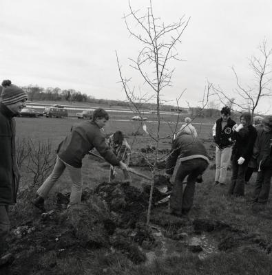 Arbor Day Centennial, Centennial Grove tree planting, man shoveling dirt over newly planted tree with others standing by