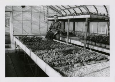 Joe Bores holding planter box in greenhouse
