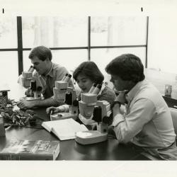 Peter Linsner, Marilyn Halperin, and Kris Bachtell studying specimens under microscopes in the Botany Lab