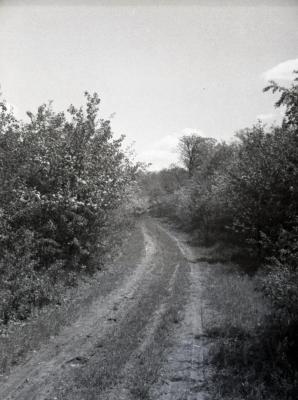 Old unpaved service road looking east