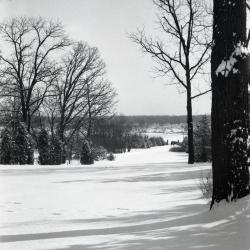 Looking east from Morton residence to entrance gates in winter, Thornhill Drive toward Park Blvd.