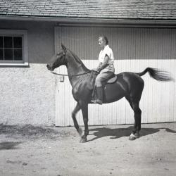 Sterling Morton horse Diana and female rider