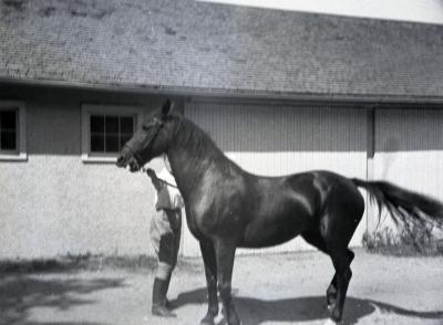 Sterling Morton's horse Diana with female trainer behind horse