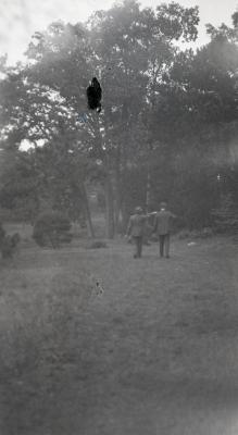 Joy Morton and O. C. Simonds pointing at trees at Arnold Arboretum