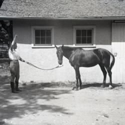 Sterling Morton's horse Diana with female trainer's arm raised