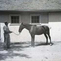 Sterling Morton's horse Diana with male trainer