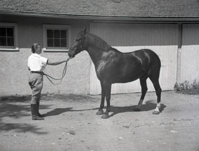 Sterling Morton's horse Diana with female trainer holding reins at nose