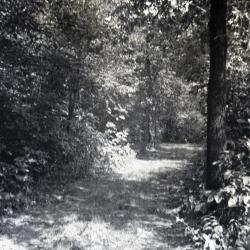 Old unpaved service road looking west