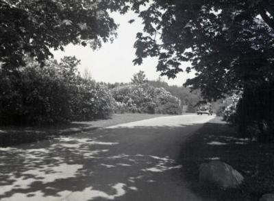Car entering Arboretum west entrance at Route 53
