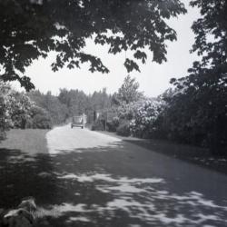 Car driving out of Arboretum west entrance toward Route 53