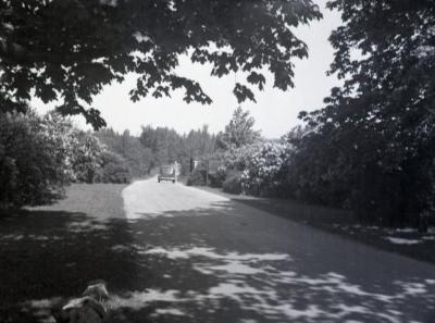 Car driving out of Arboretum west entrance toward Route 53