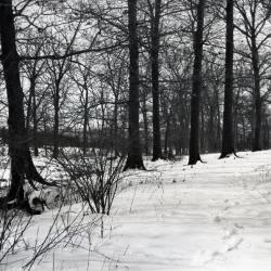 Lake Road in winter on former Cutten land, purchased from Johnson's