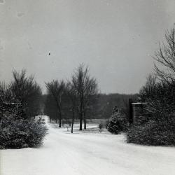 Arboretum east gate entrance in winter with close view of east side