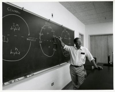 Ross Clark teaching meiosis at blackboard
