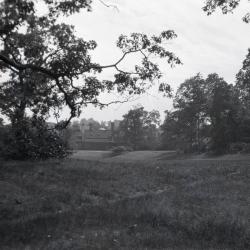 Grass area and trees with water in distance at Arnold Arboretum