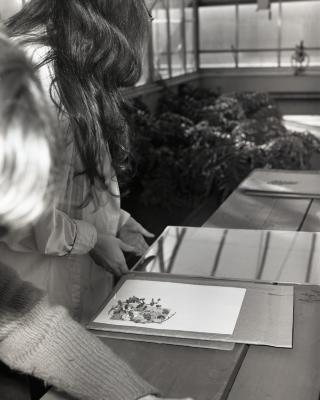 Nature Printing Class instructed by Nancy Hart in the Greenhouse, participants working at table