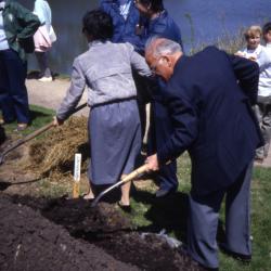 Crowd with Dick Wason planting tree by Meadow Lake on Arbor Day