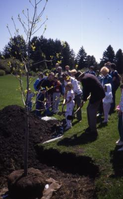 Crowd watching man with hat and child planting tree on Arbor Day