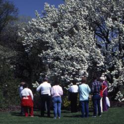 Visitors in front of crabapple and lilac in bloom at Arborfest