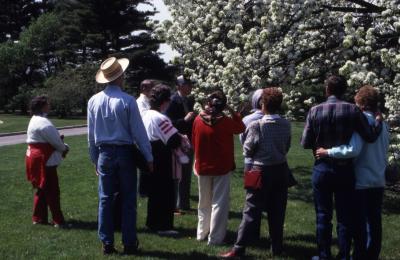 Close-up of crowd looking at crabapple in bloom at Arborfest