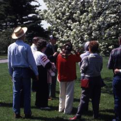 Close-up of crowd looking at crabapple in bloom at Arborfest