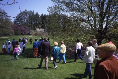 Crowd walking toward tree to be planted on Arbor Day