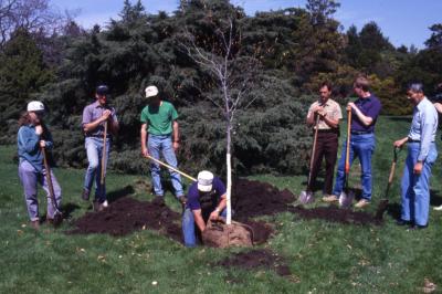 Doug Monroe removing burlap from tree for Arbor Day tree planting while employees hold shovels and watch