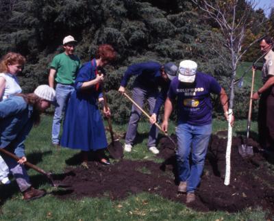 Employees digging hole for Arbor Day tree planting