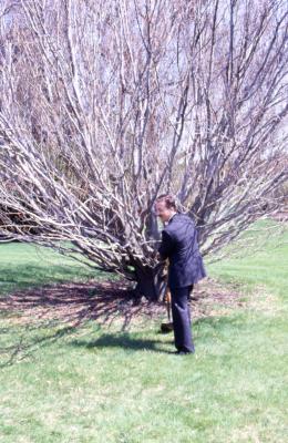 Gerry Donnelly with shovel in front of bare mature tree on Arbor Day