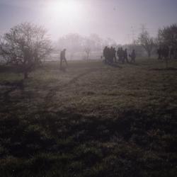 Morning sun in mist over crowd gathering for Earth Day tree planting