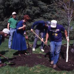 Employees digging hole for Arbor Day tree planting