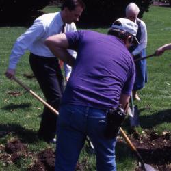 Gerry Donnelly, Doug Monroe, and Helen Langrill digging hole for Arbor Day tree planting