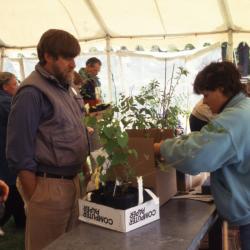 Doris Taylor assisting visitors with plant purchase at Arbor Week surplus plant sale