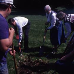 Gerry Donnelly and employees digging hole for Arbor Day tree planting