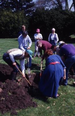 Employees digging hole for tree planting on Arbor Day